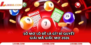 so mo lo de